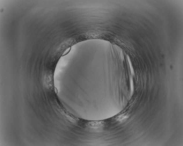 X0000067930526200605041738