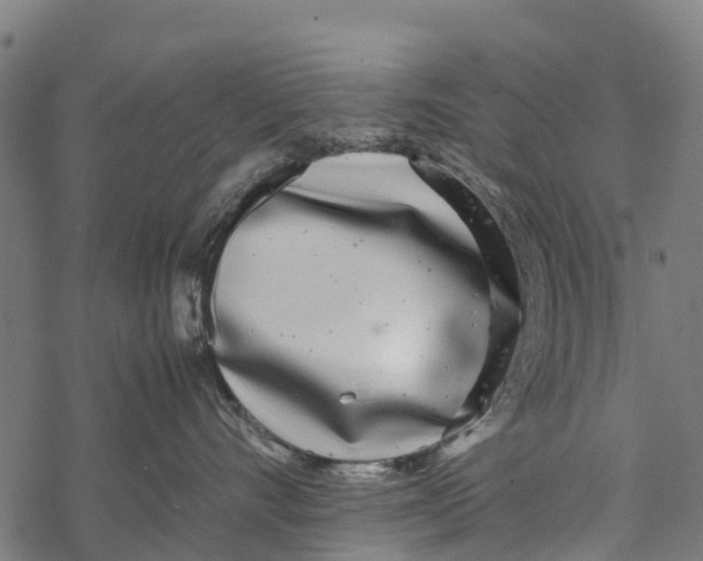 X0000067930528200605041738