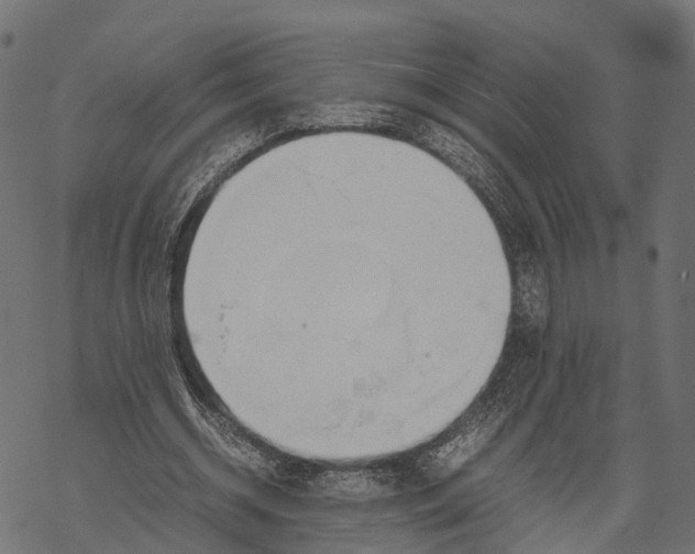 X0000067930534200605041737