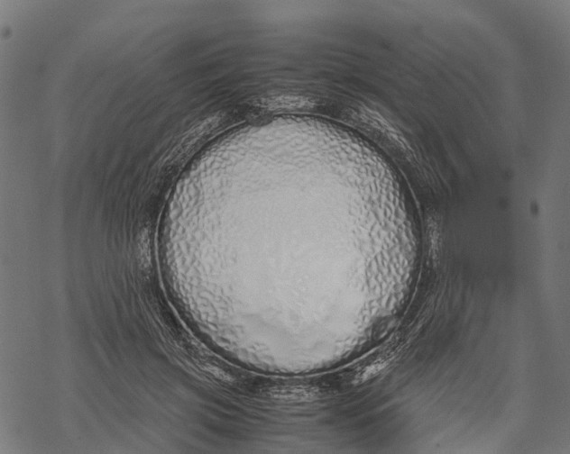 X0000067930549200605041737