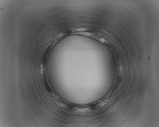 X0000067930555200605041737