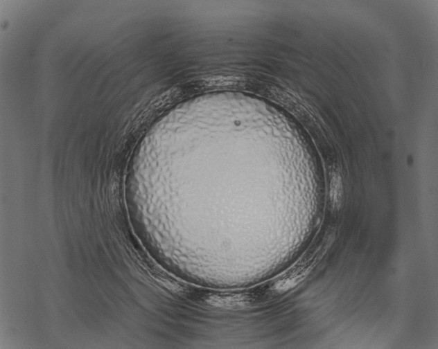 X0000067930557200605041737