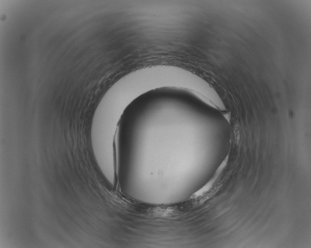 X0000067930570200605041738