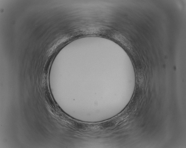 X0000067930583200605041737