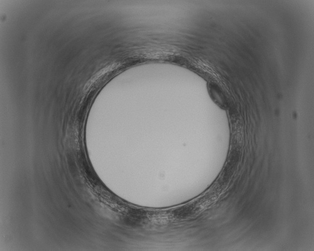 X0000067930587200605041737