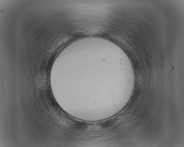 X0000067930591200605041737