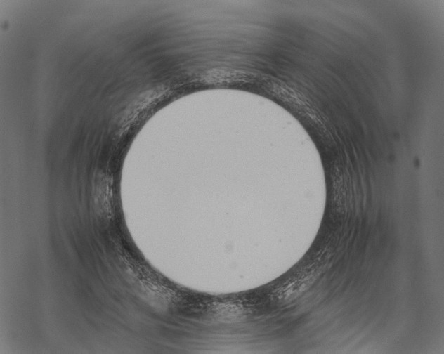 X0000067930592200605041737