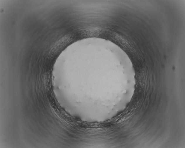 X0000067930594200605041737
