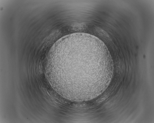 X0000067930606200605041737