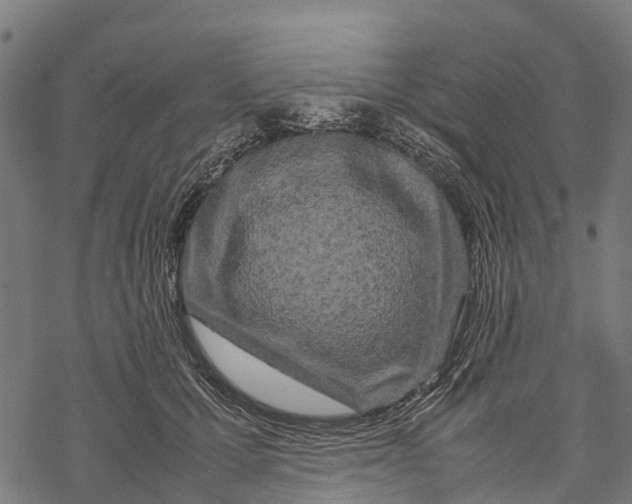 X0000067930607200605041736