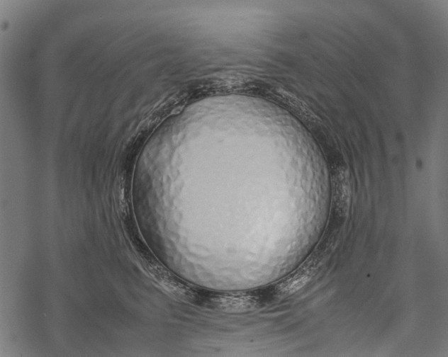 X0000067930615200605041736