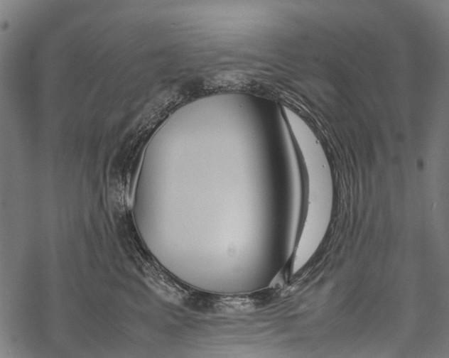 X0000067930617200605041736