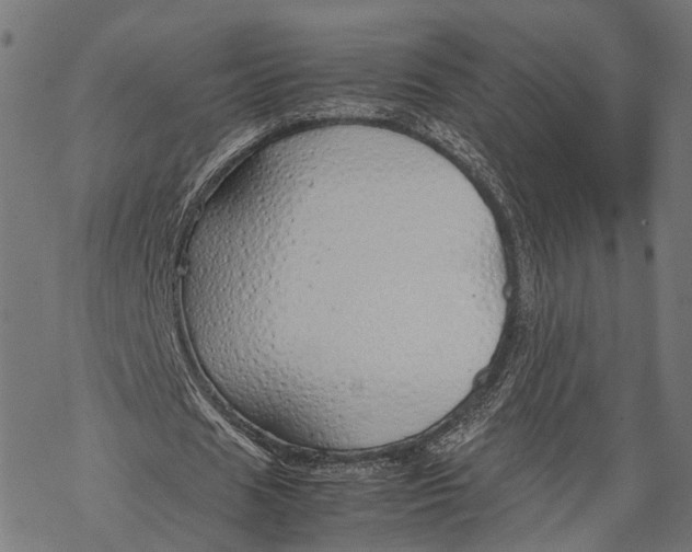 X0000067930625200605041735