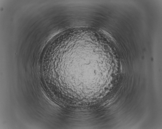 X0000067930627200605041735