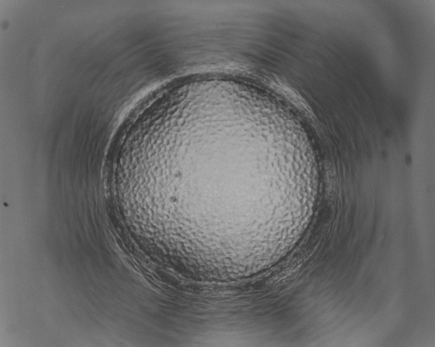 X0000067930628200605041735