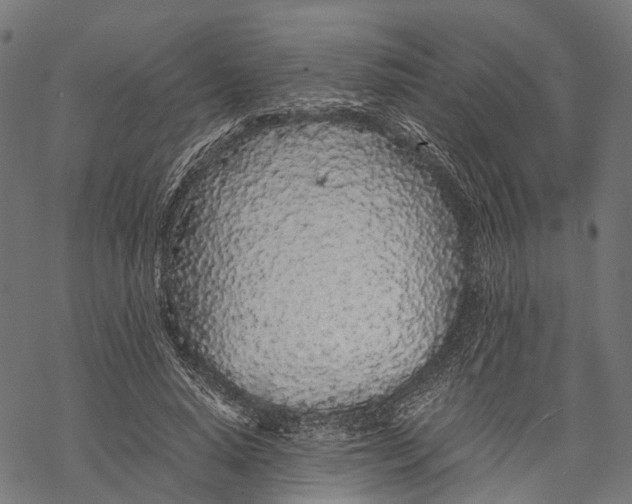 X0000067930640200605041736