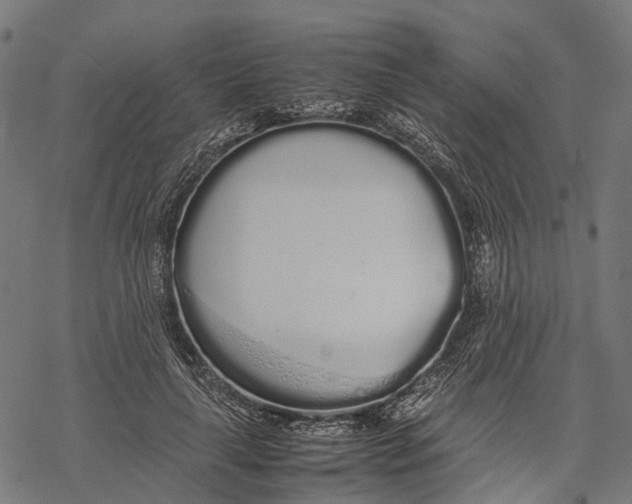 X0000067930643200605041736