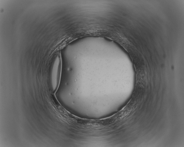 X0000067930648200605041736