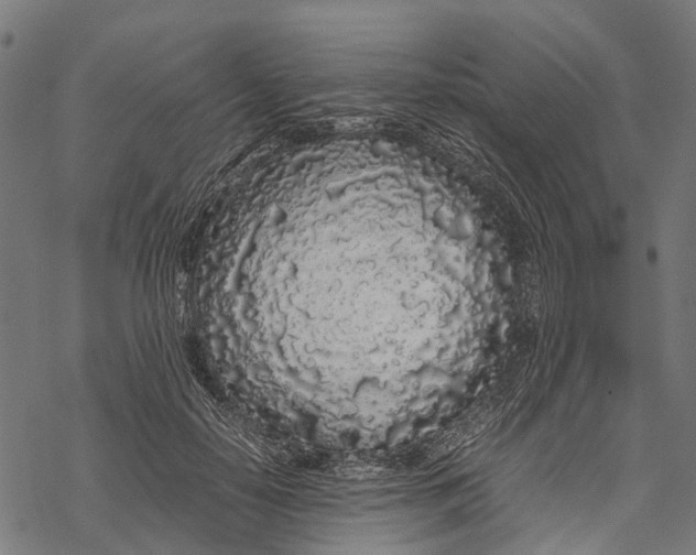 X0000067930650200605041736