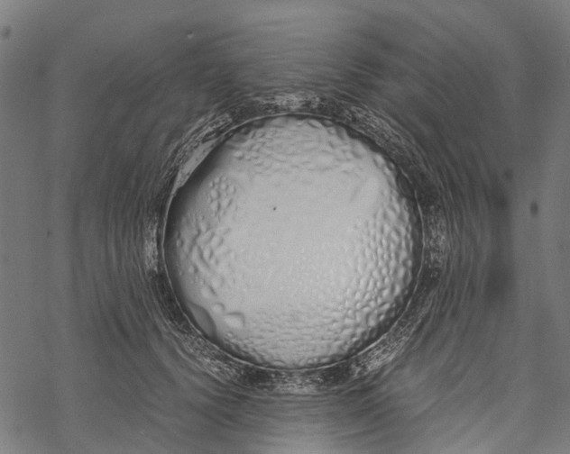 X0000067930656200605041736