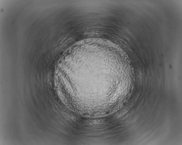 X0000067930663200605041736