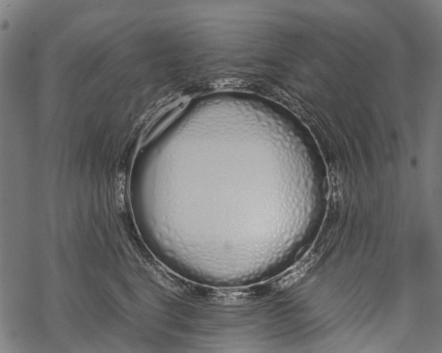 X0000067930664200605041736