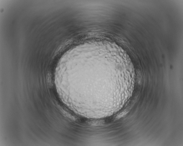 X0000067930670200605041736