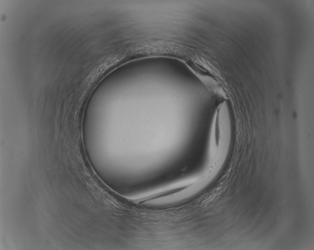X0000067930673200605041735