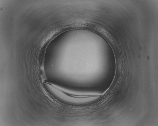 X0000067930677200605041735