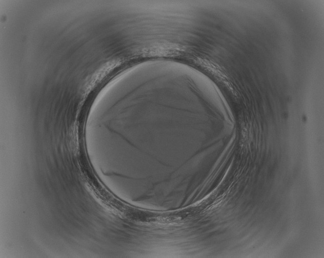 X0000067930678200605041735