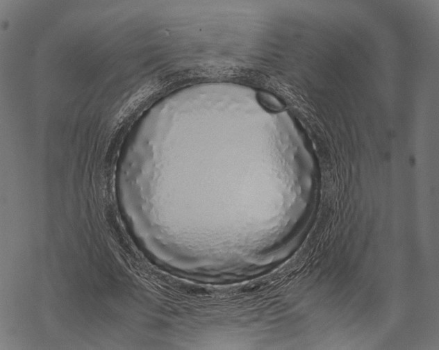 X0000067930679200605041735