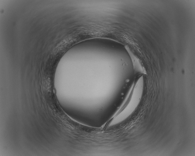 X0000067930689200605041735