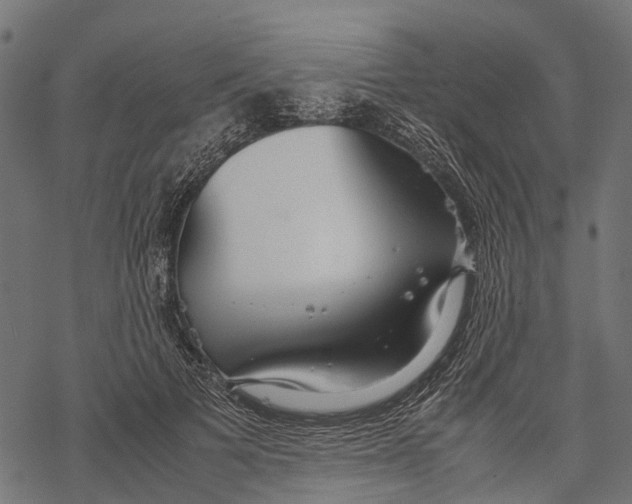 X0000067930697200605041735