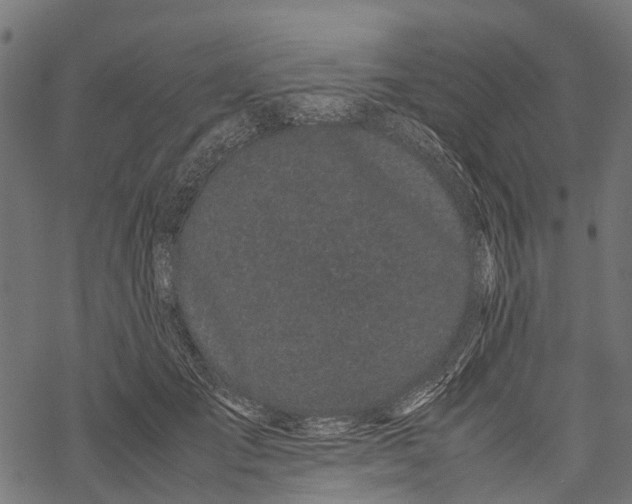 X0000067930701200605041735