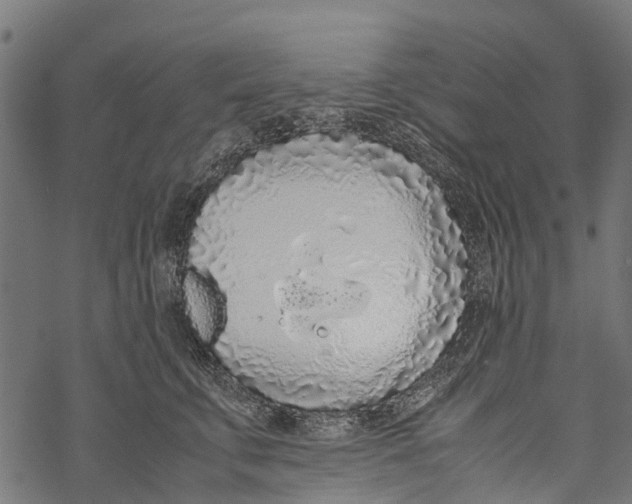 X0000067930711200605041735