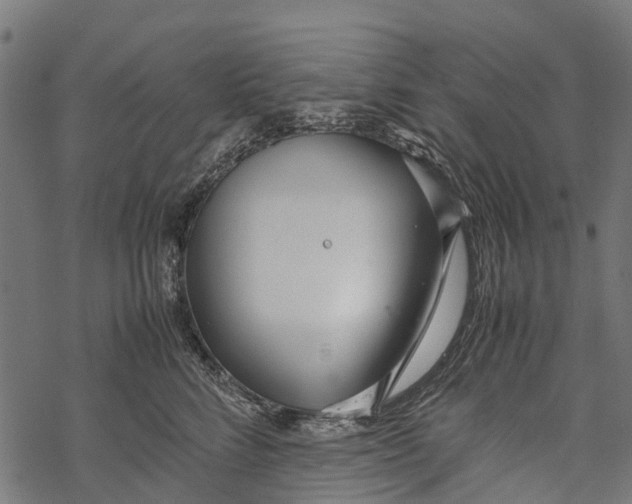 X0000067930712200605041735
