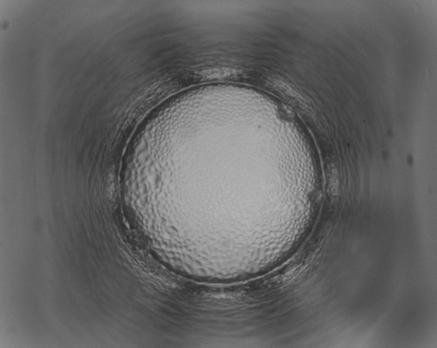 X0000067930737200605041734