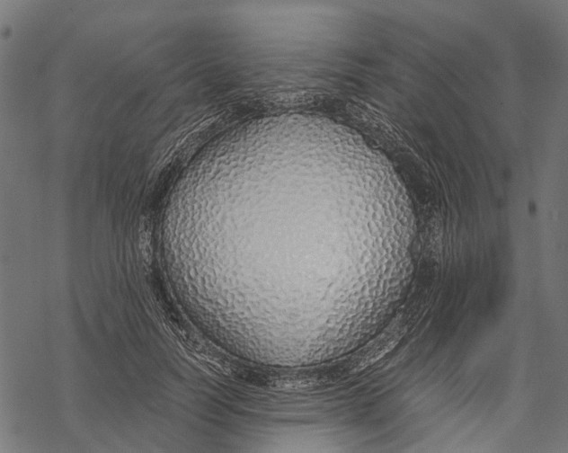 X0000067930746200605041734