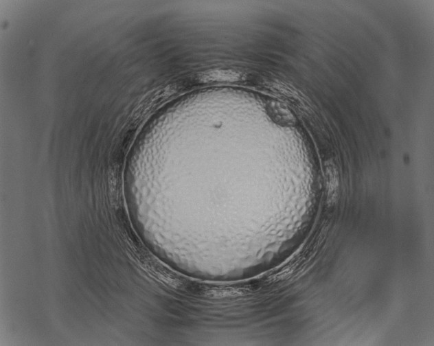 X0000067930749200605041734