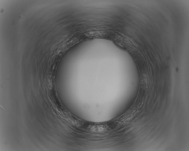 X0000067930751200605041734