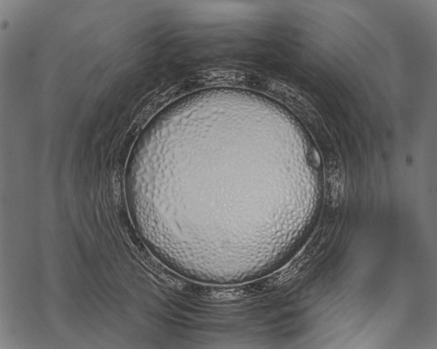 X0000067930753200605041734