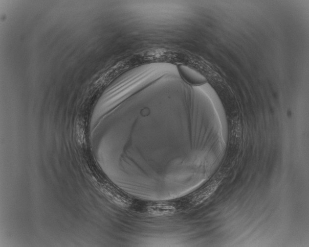 X0000067930754200605041734