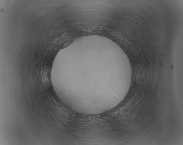 X0000067930770200605041734