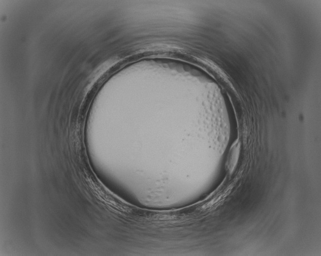 X0000067930783200605041734