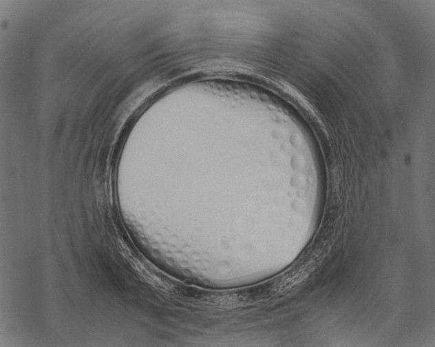 X0000067930791200605041733