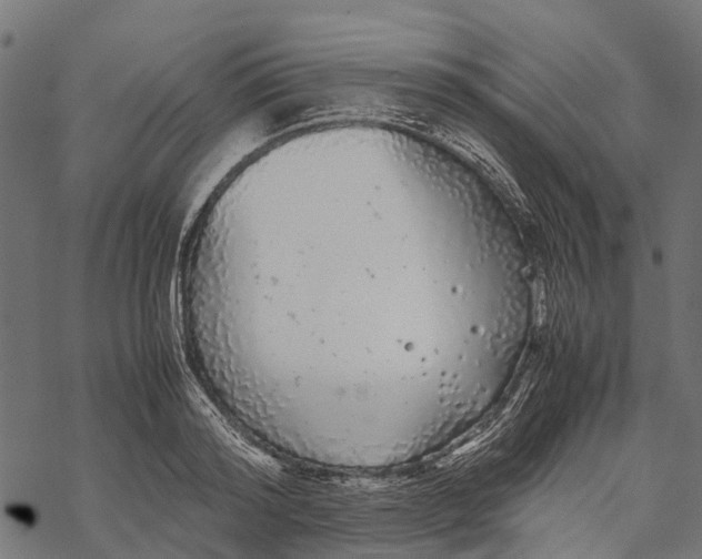 X0000067930796200605041733