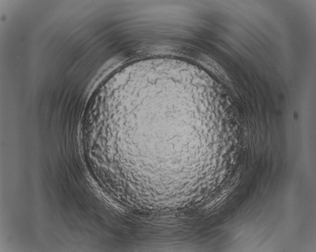 X0000067930798200605041733