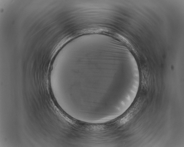 X0000067930802200605041733