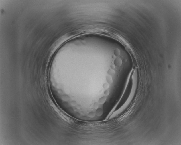 X0000067930803200605041733