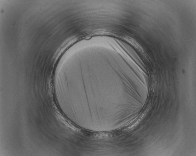 X0000067930806200605041733